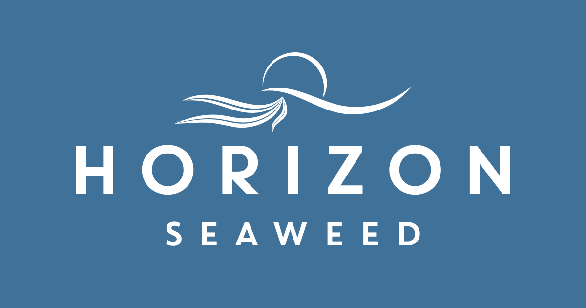 Laver, nori, Porphyra from Horizon Seaweed | Species guide | Horizon ...