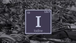 Iodine chemical element over wild kelp