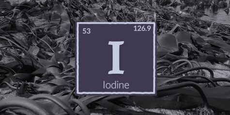Iodine chemical element over wild kelp