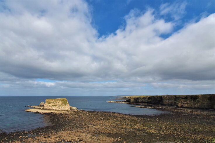 View of our Brough harvest site at low tide