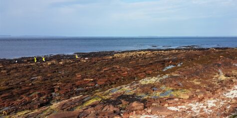 Horizon Seaweed Harvesters picking seaweed at Ness of Duncansby