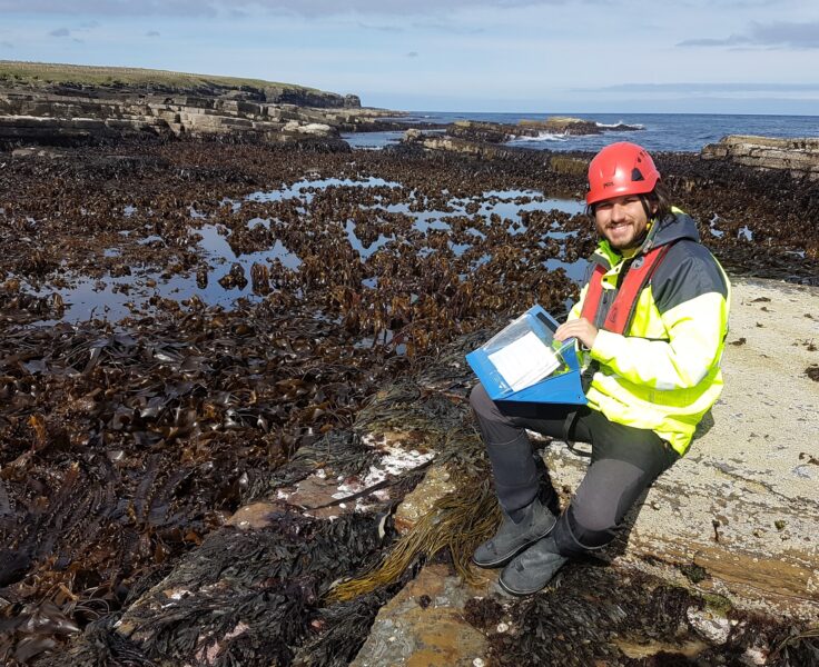 Environmental impact monitoring seaweed survey at low tide