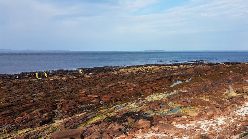 Horizon Seaweed Harvesters picking seaweed at Ness of Duncansby