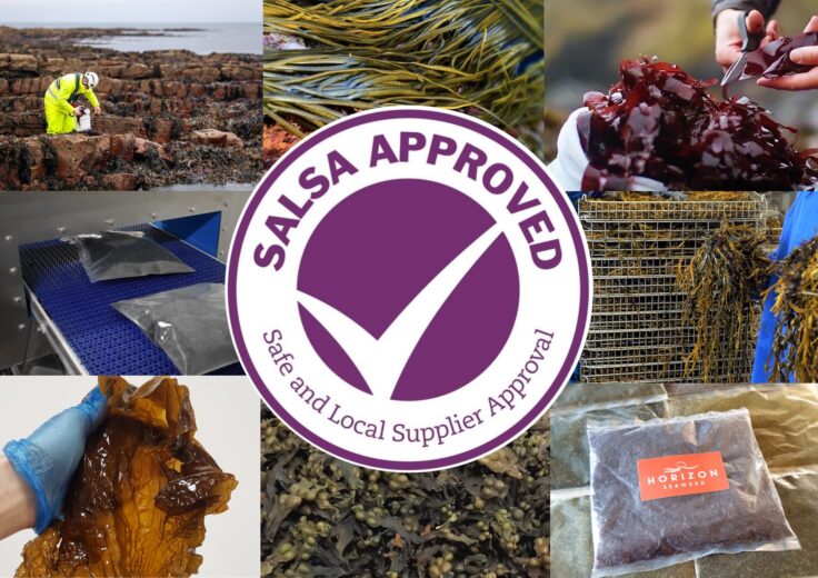 Horizon Seaweed Safe and Local Supplier Approval