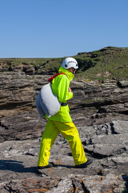 Harvester carrying bags of seaweed back up the shore