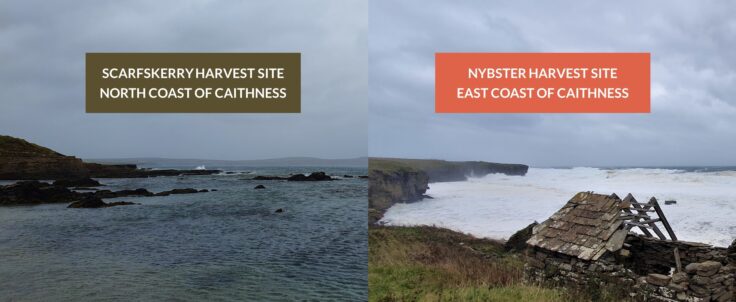 Calm conditions on north coast and rough weather on east coast during a storm in Caithness