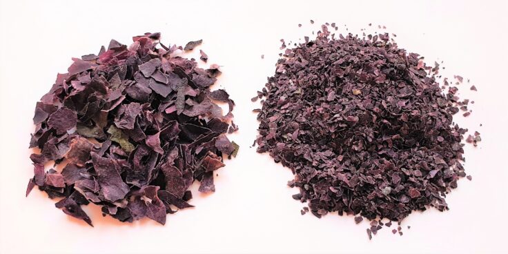 Coarse flakes and fine milled powdered dulse seaweed Palmaria palmata