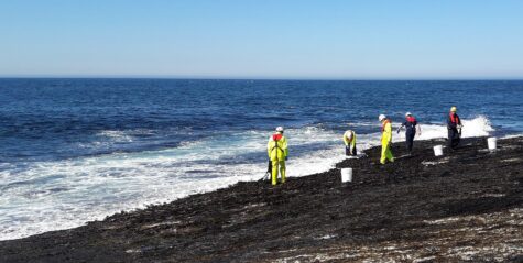 Horizon Seaweed harvesters gathering seaweed on the exposed coast of Caithness in summer